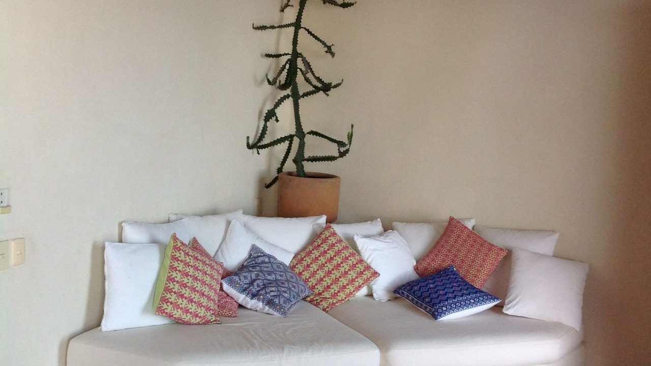 Photo of Bedroom in Playa Las Gatas
