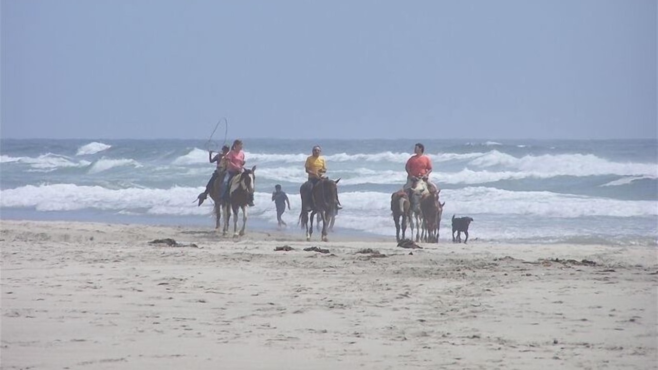 Photo of Others in La Mision