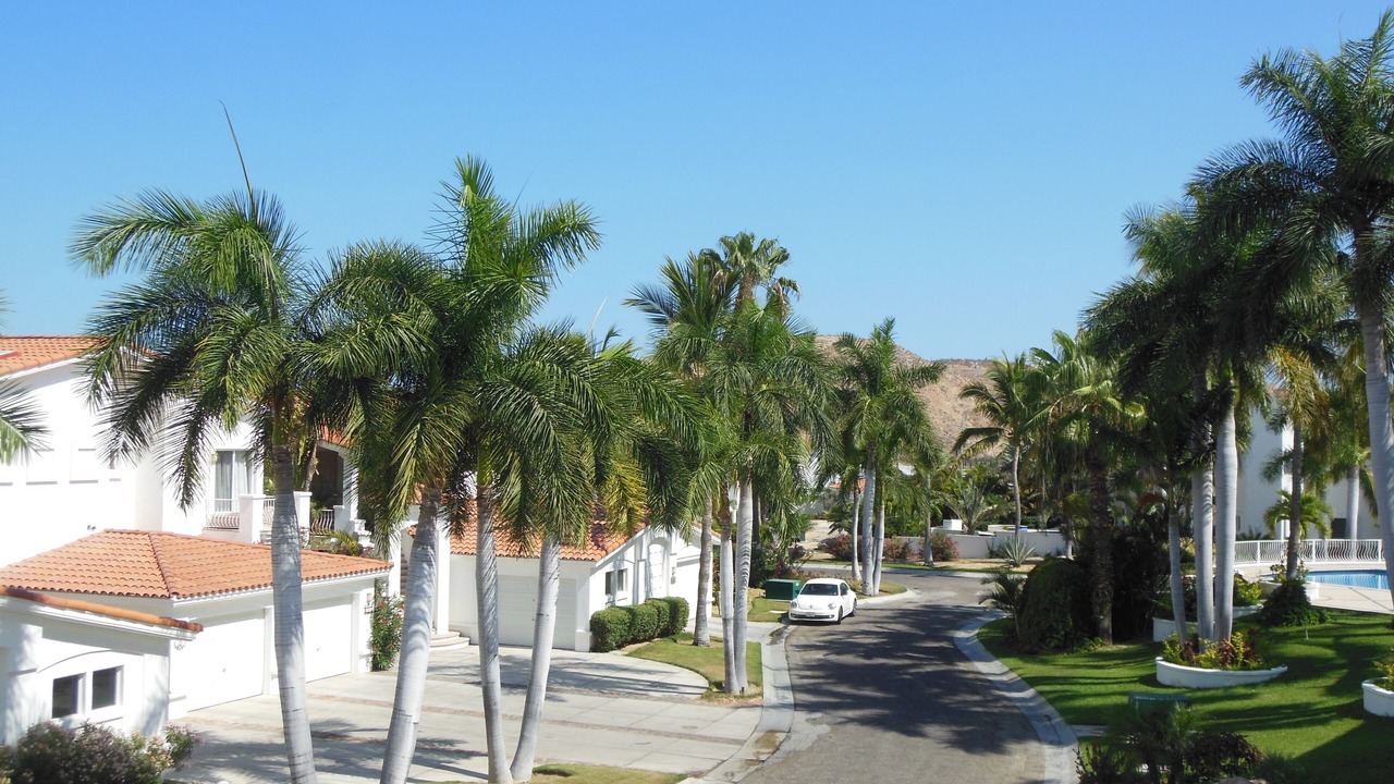 Photo of Others in Palmilla
