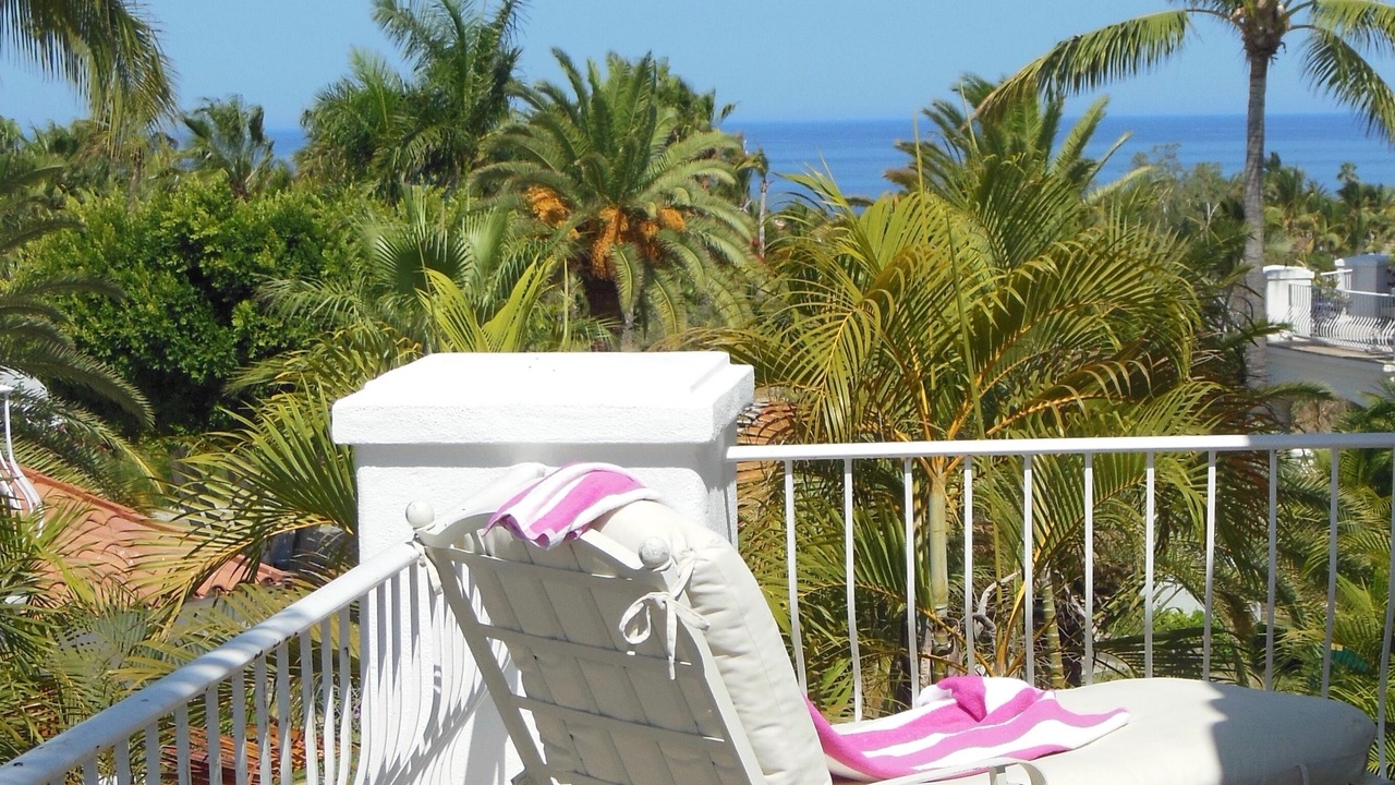 Photo of Others in Palmilla