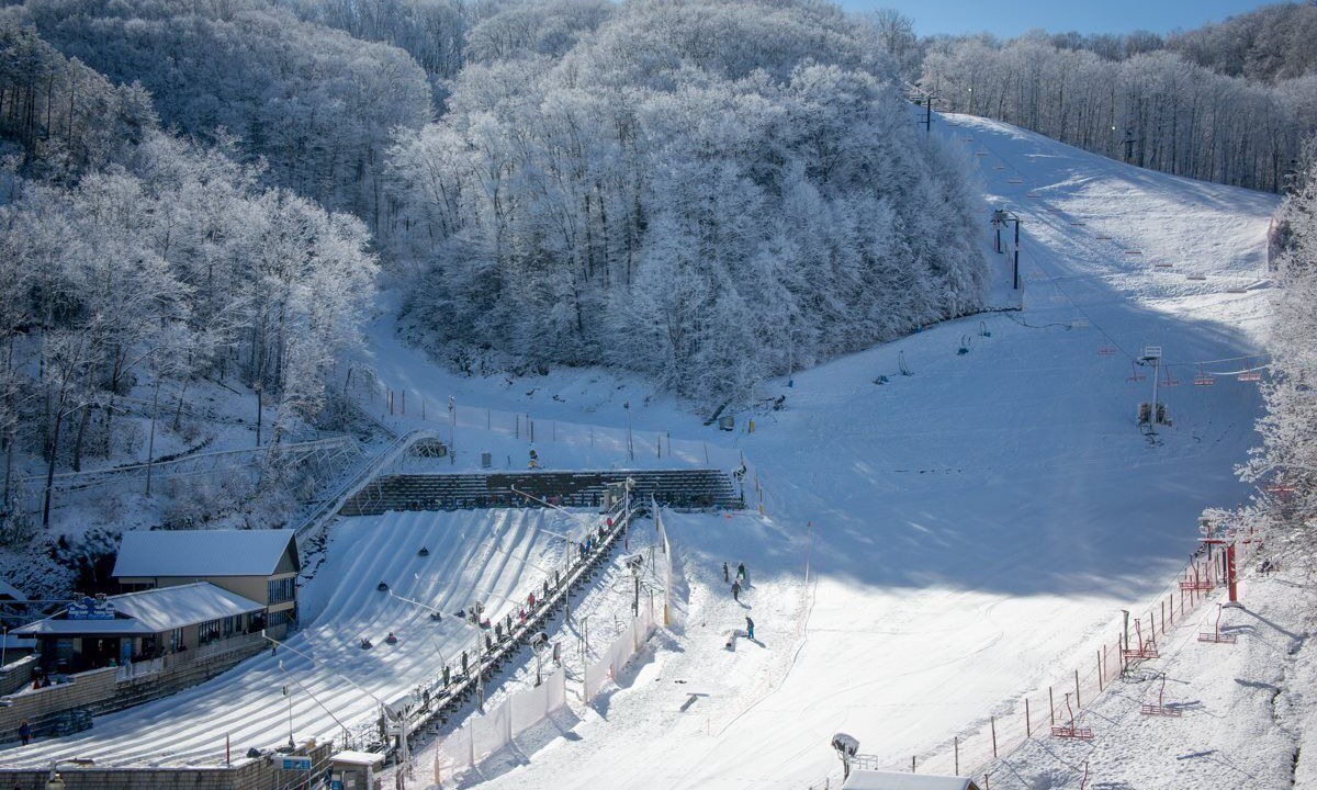 Photo of Others in Chalet Village
