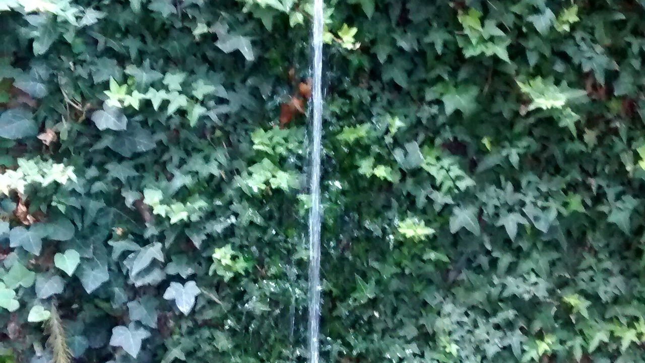 Photo of Outdoor in Ichupio