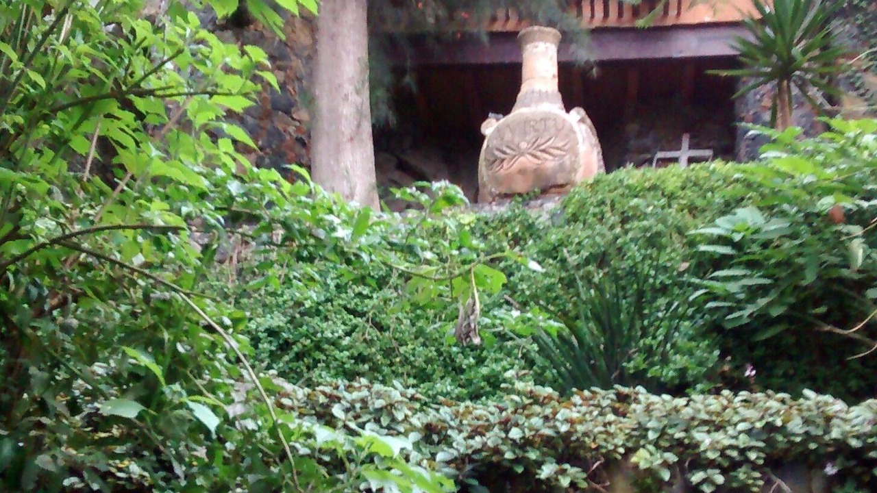 Photo of Outdoor in Ichupio