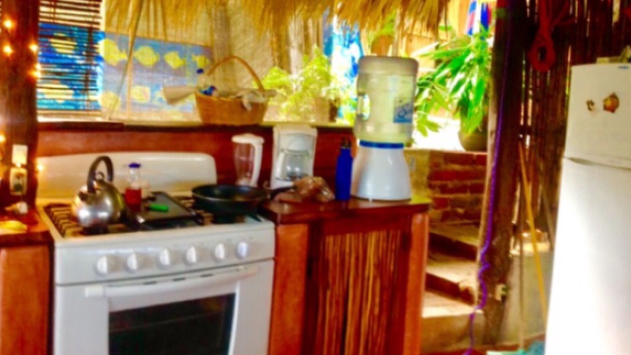 Photo of Kitchen in Playa Las Gatas