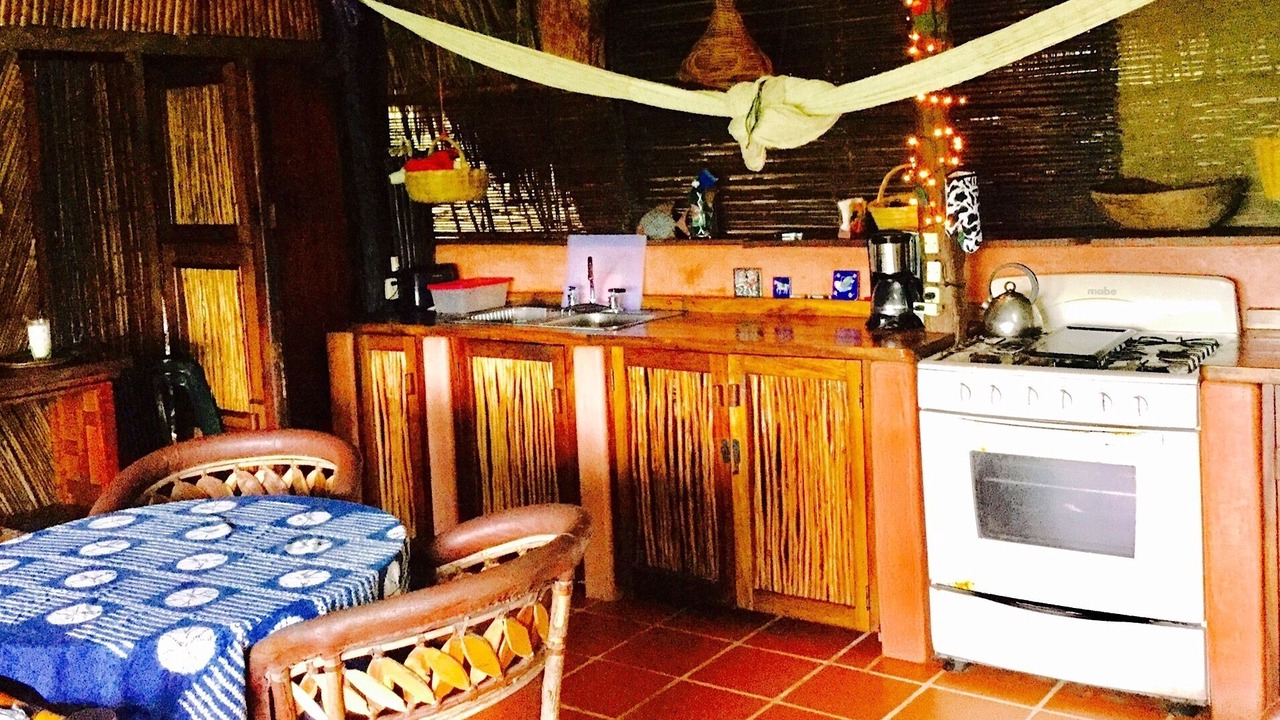Photo of Kitchen in Playa Las Gatas