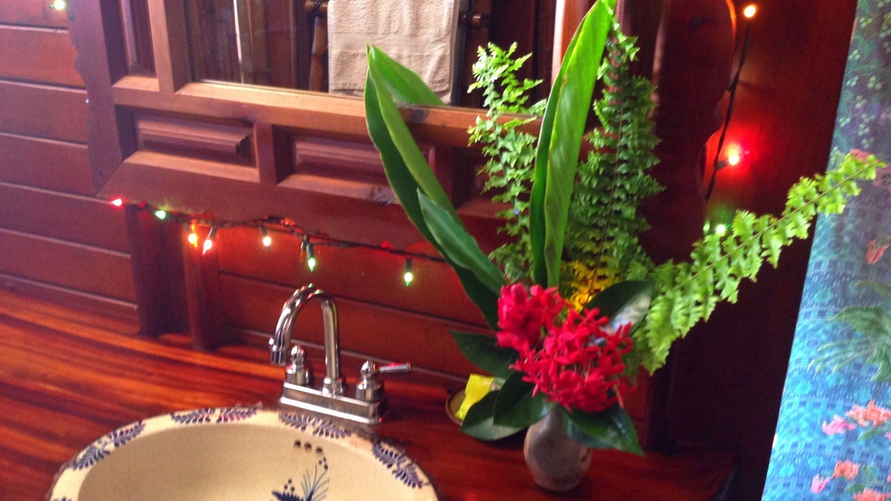 Photo of Bathroom in Playa Las Gatas