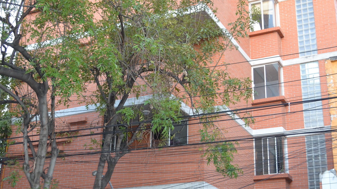 Photo of Outdoor in Popotla
