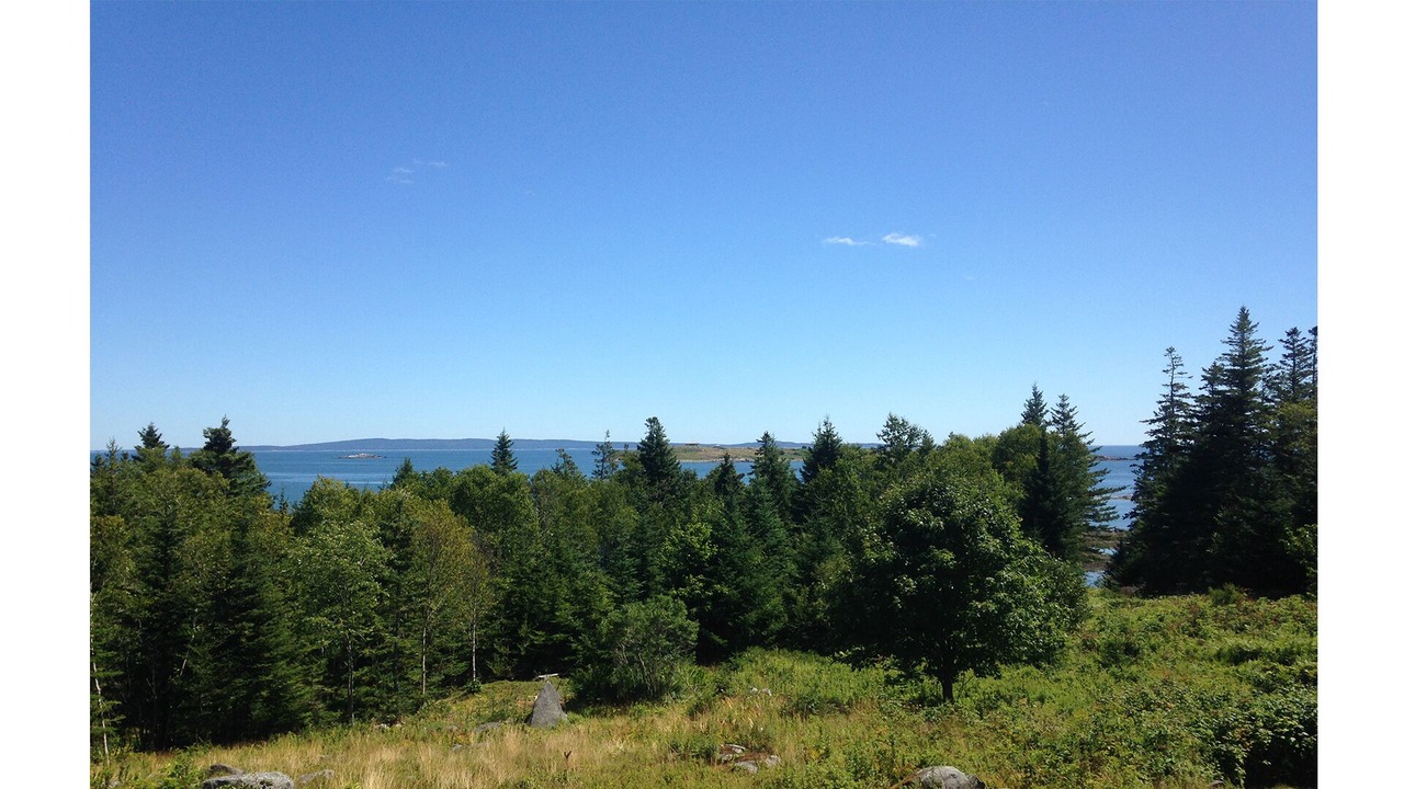 Photo of Others in Vinalhaven