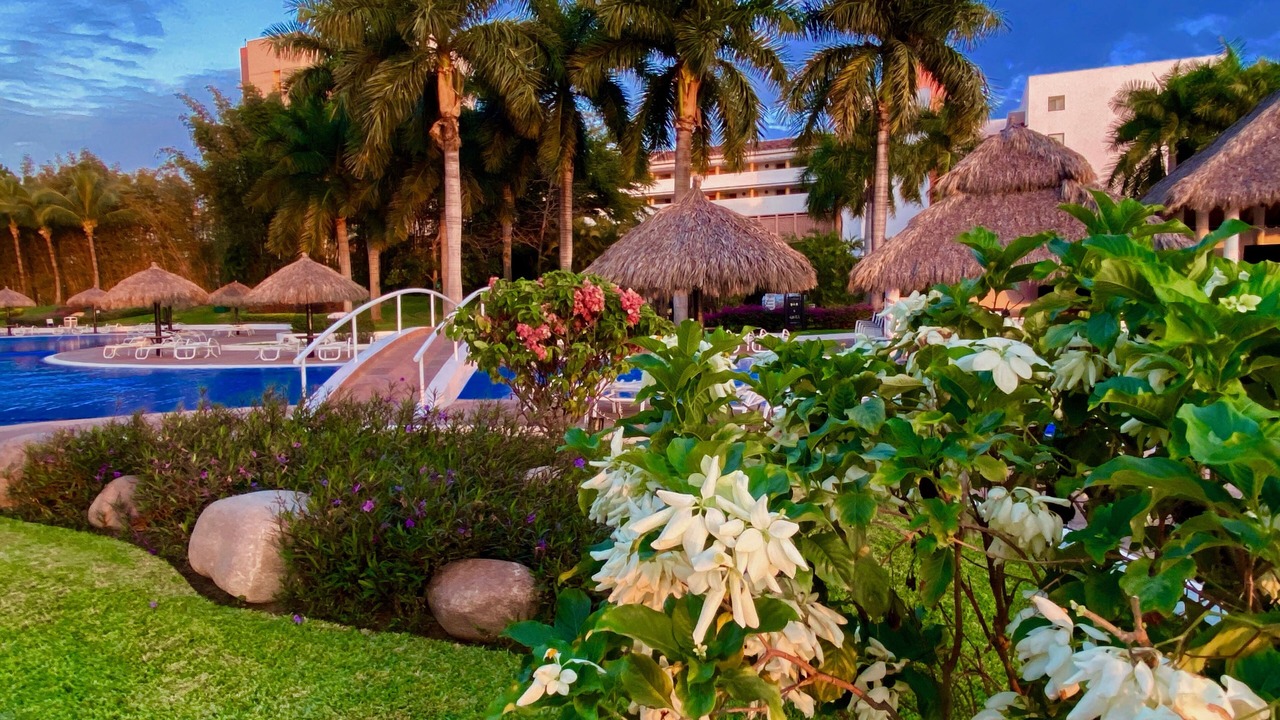 Photo of Others in Puerto Vallarta