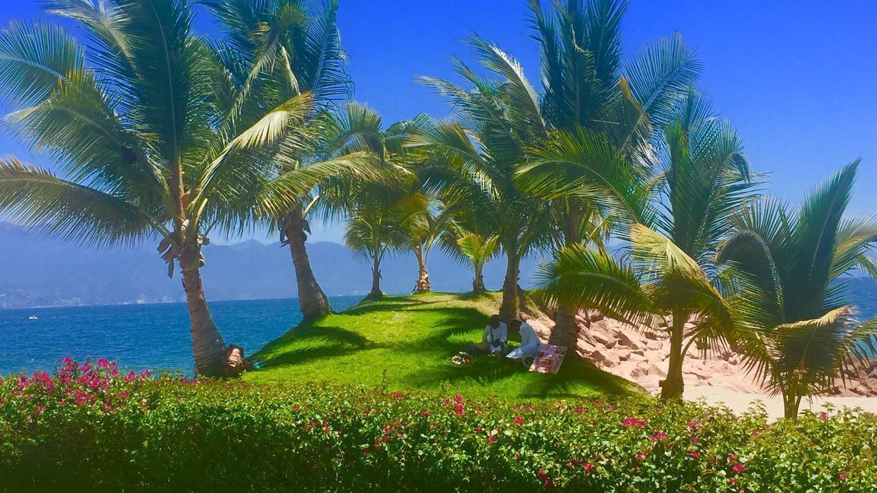 Photo of Others in Puerto Vallarta