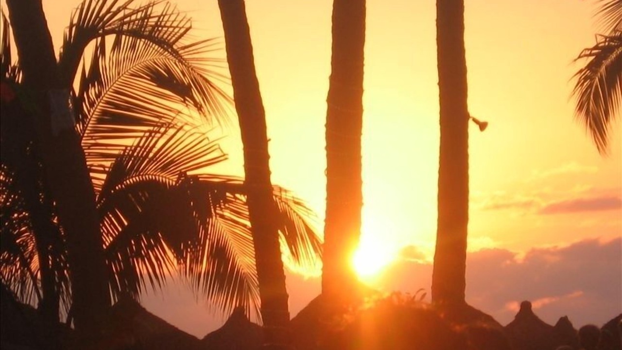 Photo of Others in Nuevo Vallarta