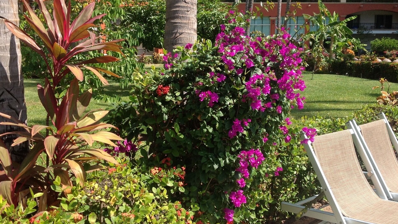Photo of Outdoor in Nuevo Vallarta