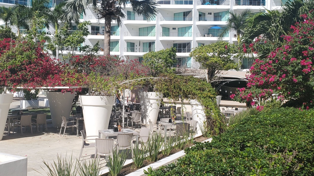 Photo of Outdoor in Flamingos