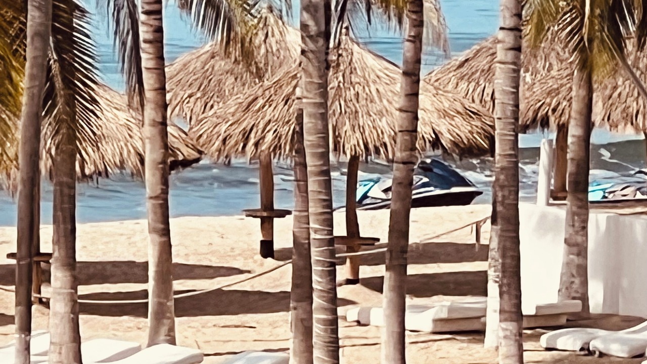 Photo of Outdoor in Flamingos