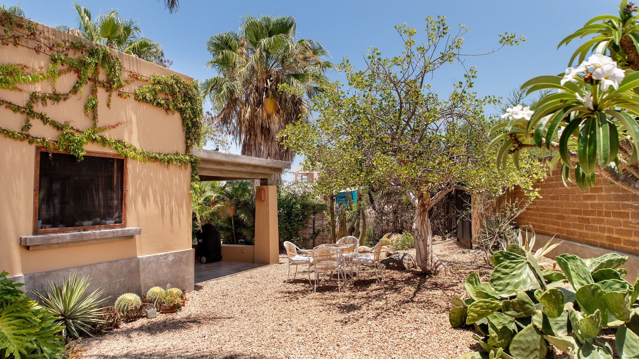 Photo of Others in Todos Santos