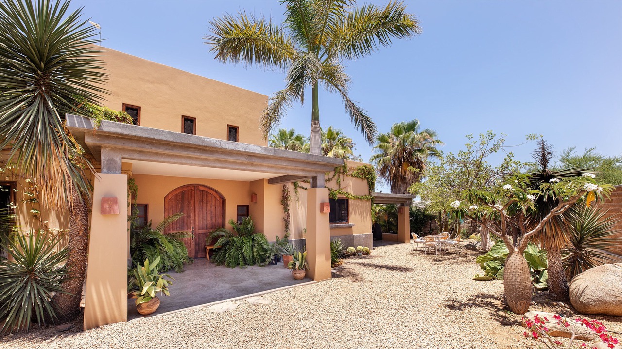 Photo of Others in Todos Santos
