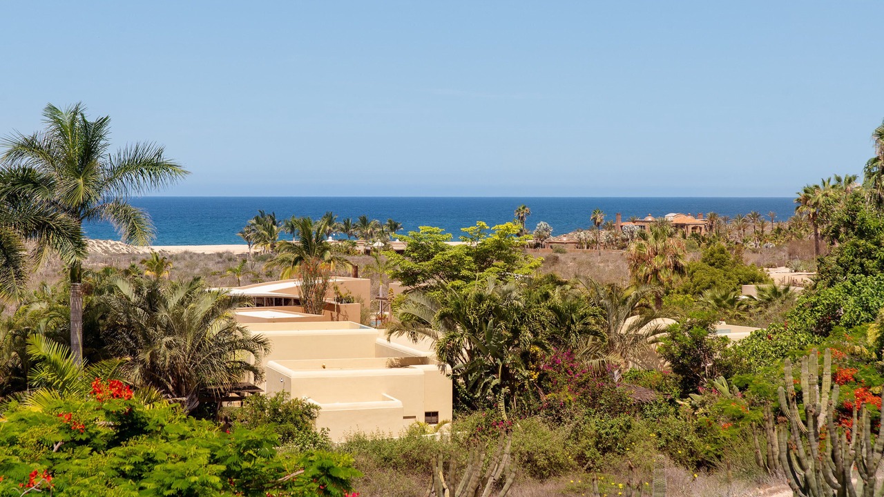 Photo of Others in Todos Santos