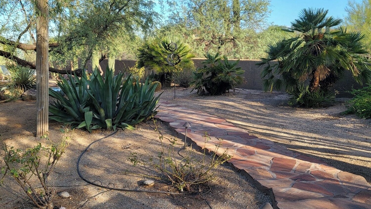 Photo of Outdoor in Tortolita