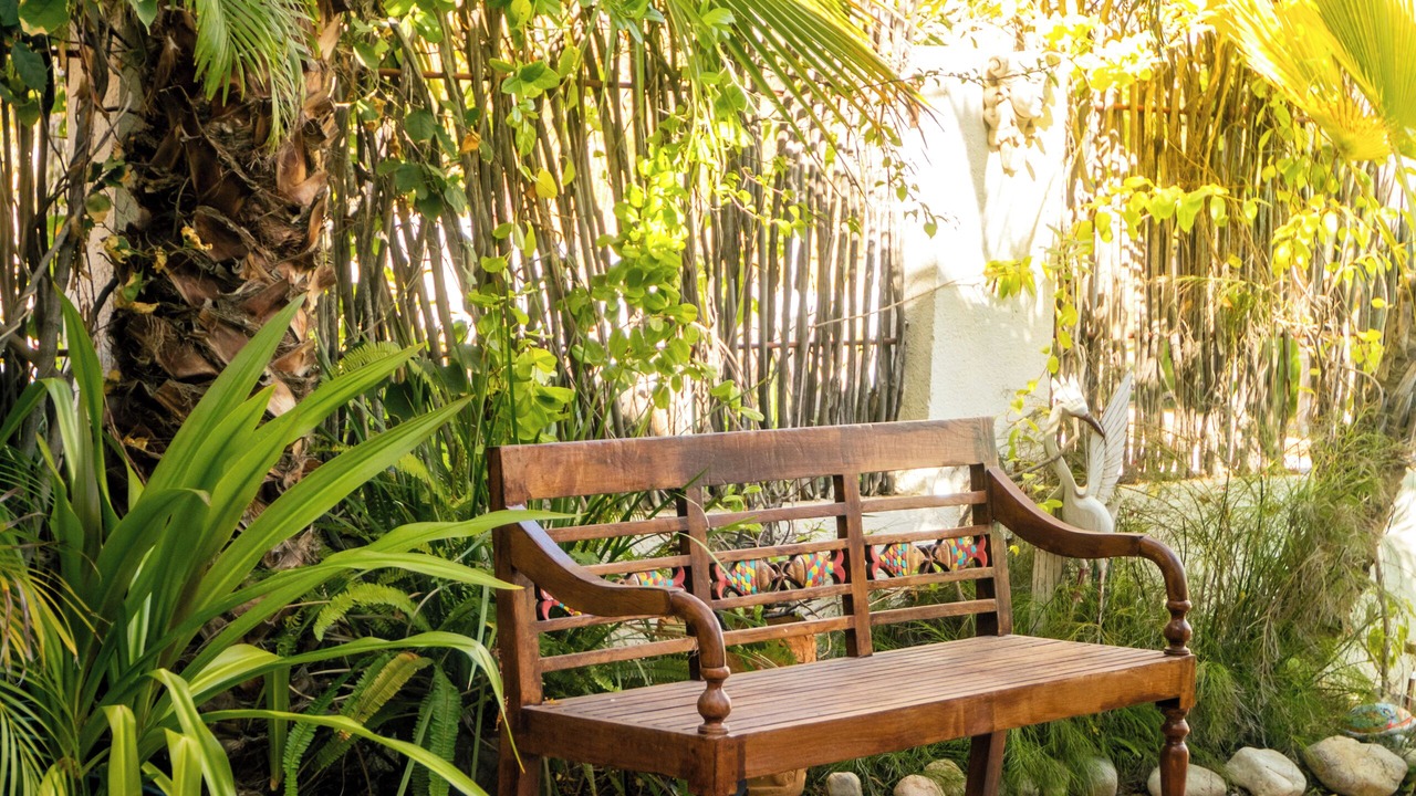 Photo of Patio Balcony in Cabo Bello