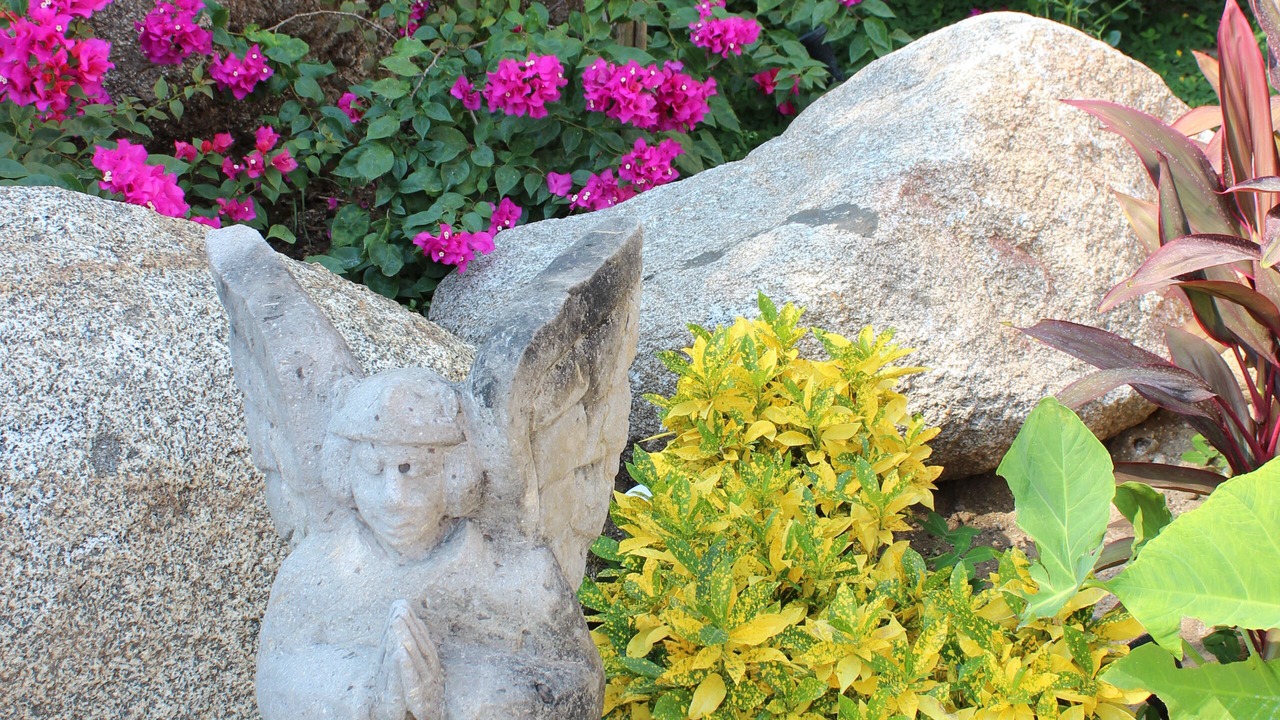 Photo of Outdoor in Sayulita