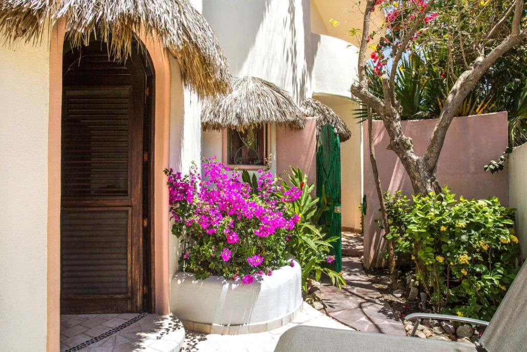 Photo of Others in Sayulita