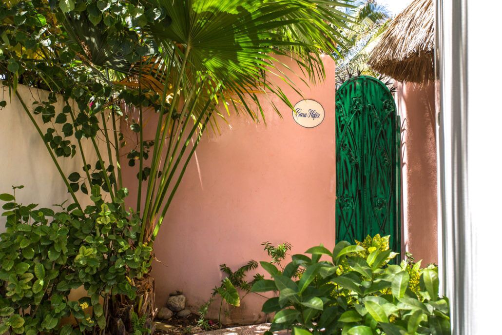 Photo of Others in Sayulita