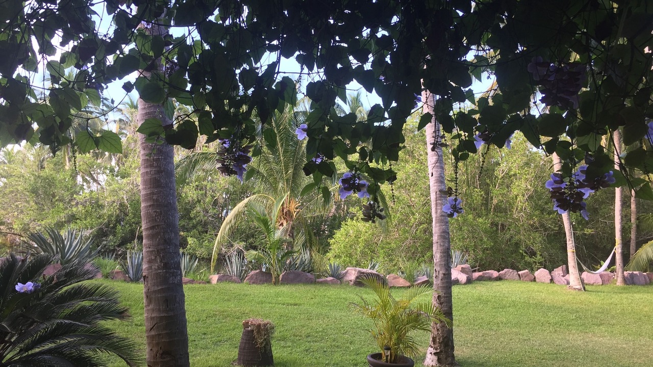 Photo of Others in Boca de Iguanas