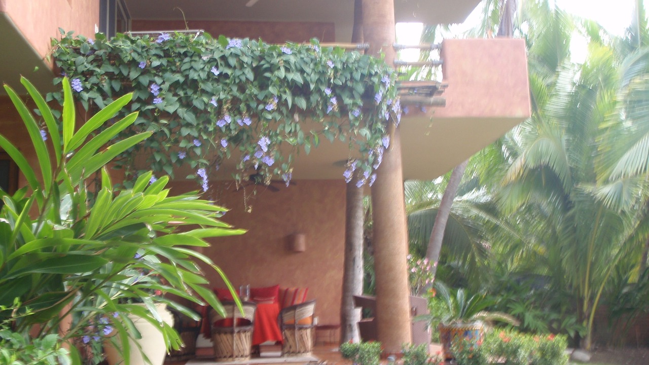 Photo of Others in Boca de Iguanas