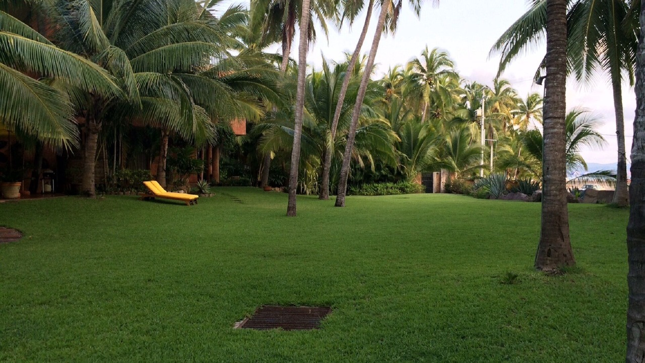 Photo of Others in Boca de Iguanas