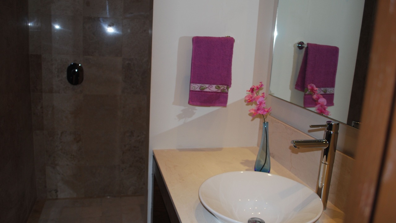 Photo of Bathroom in Bucerias