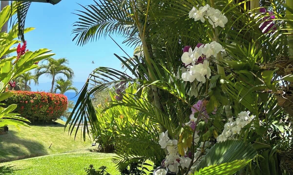 Photo of Outdoor in Punta de Mita