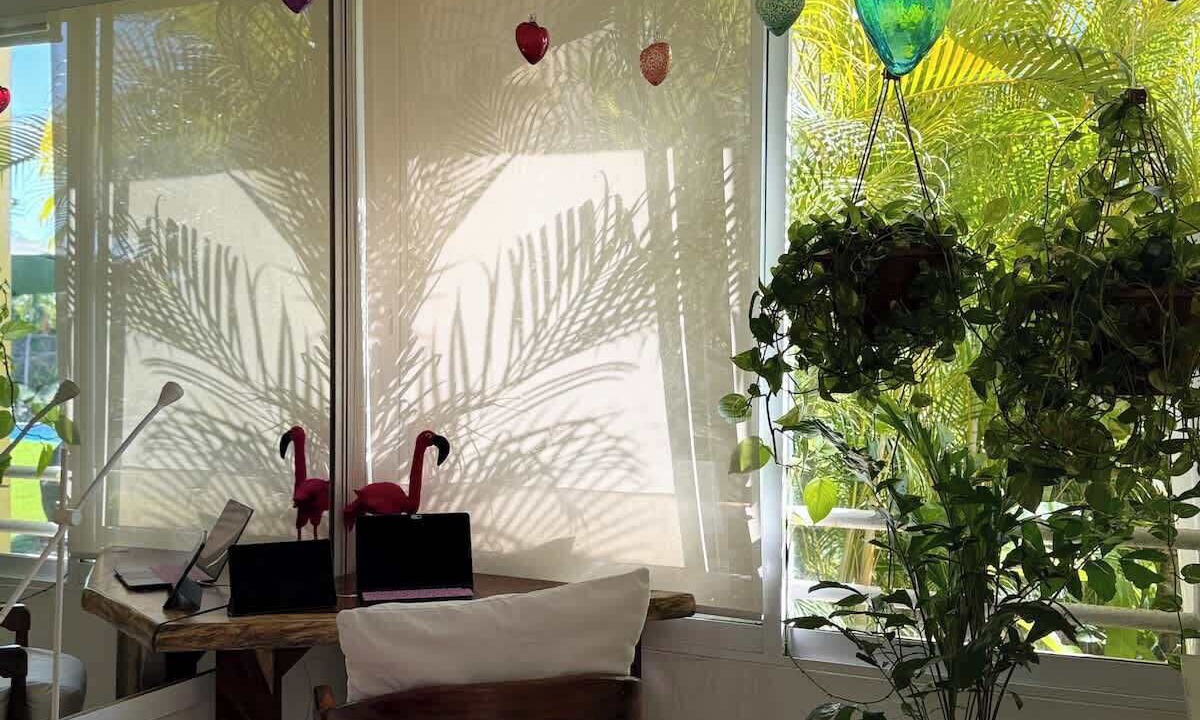Photo of Others in Punta de Mita