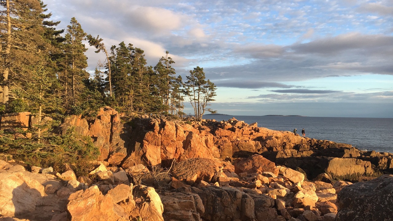 Photo of Others in Bass Harbor