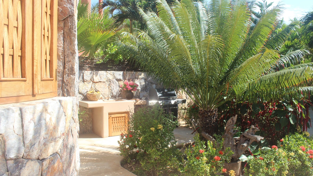 Photo of Others in Troncones