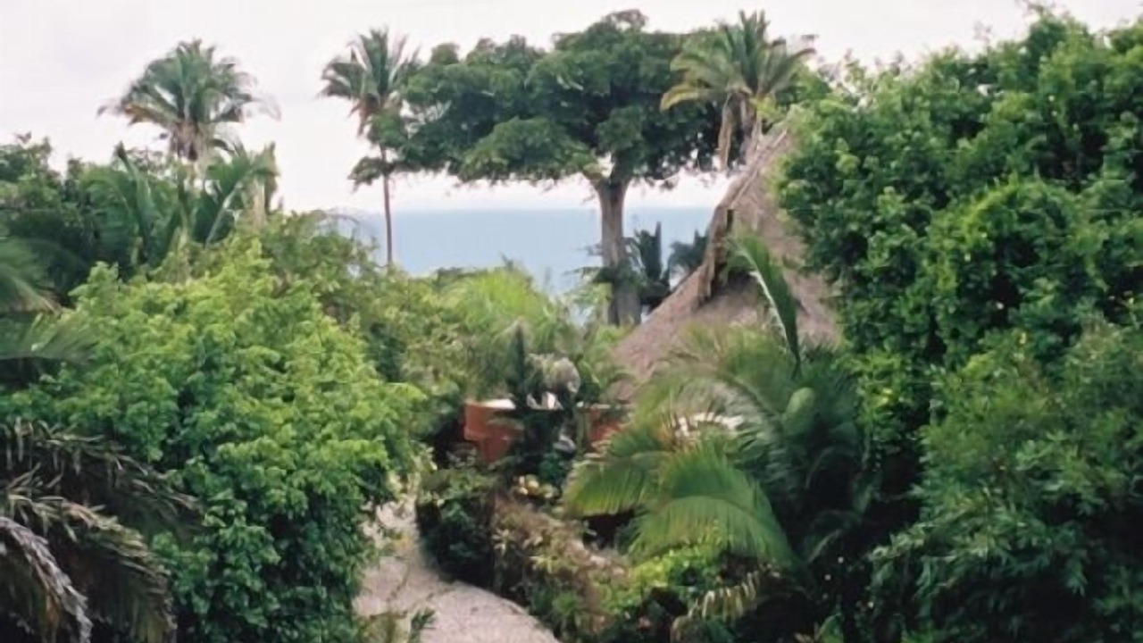 Photo of Outdoor in Platanitos