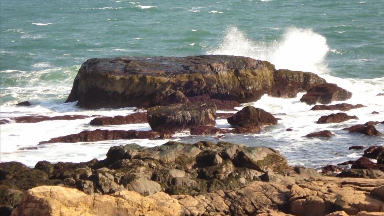 Photo of Others in Gloucester