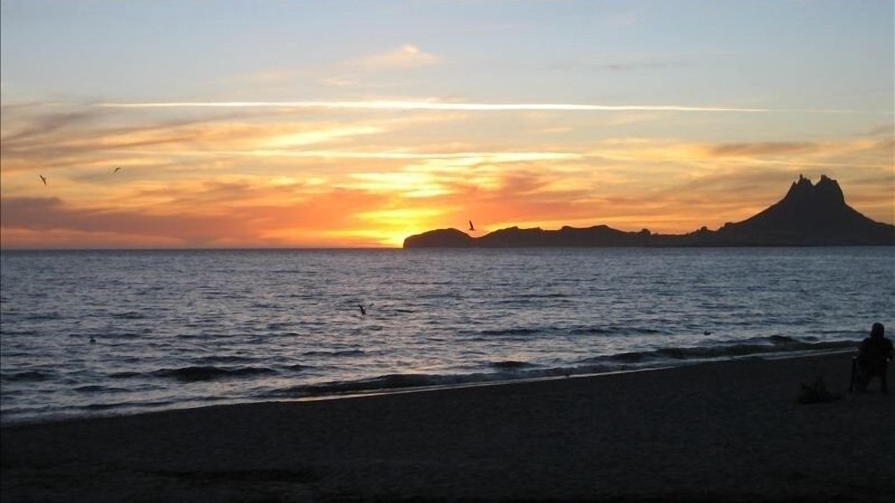 Photo of Others in San Carlos