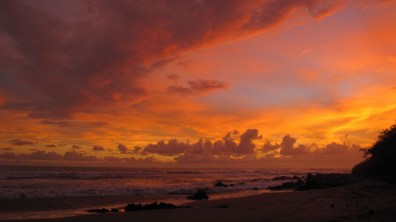 Photo of Others in Troncones