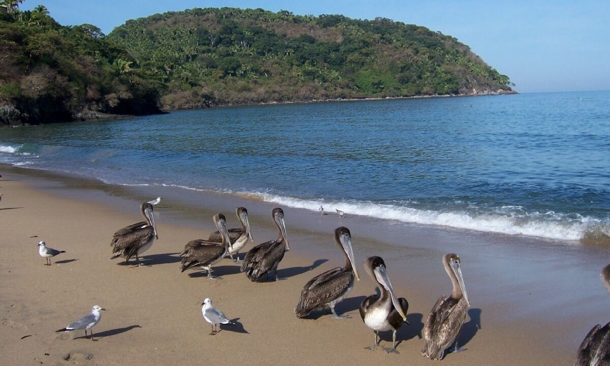 Photo of Others in Los Ayala