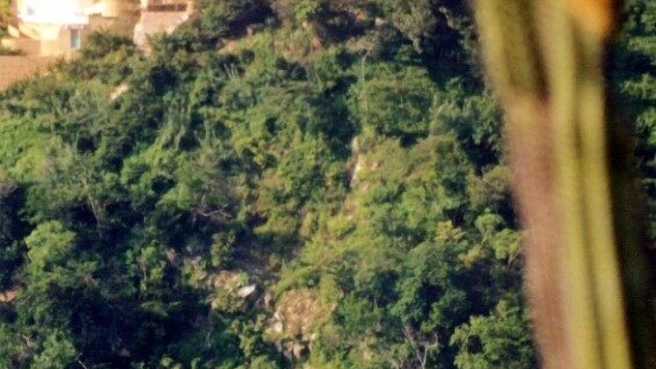 Photo of Others in P Chahue