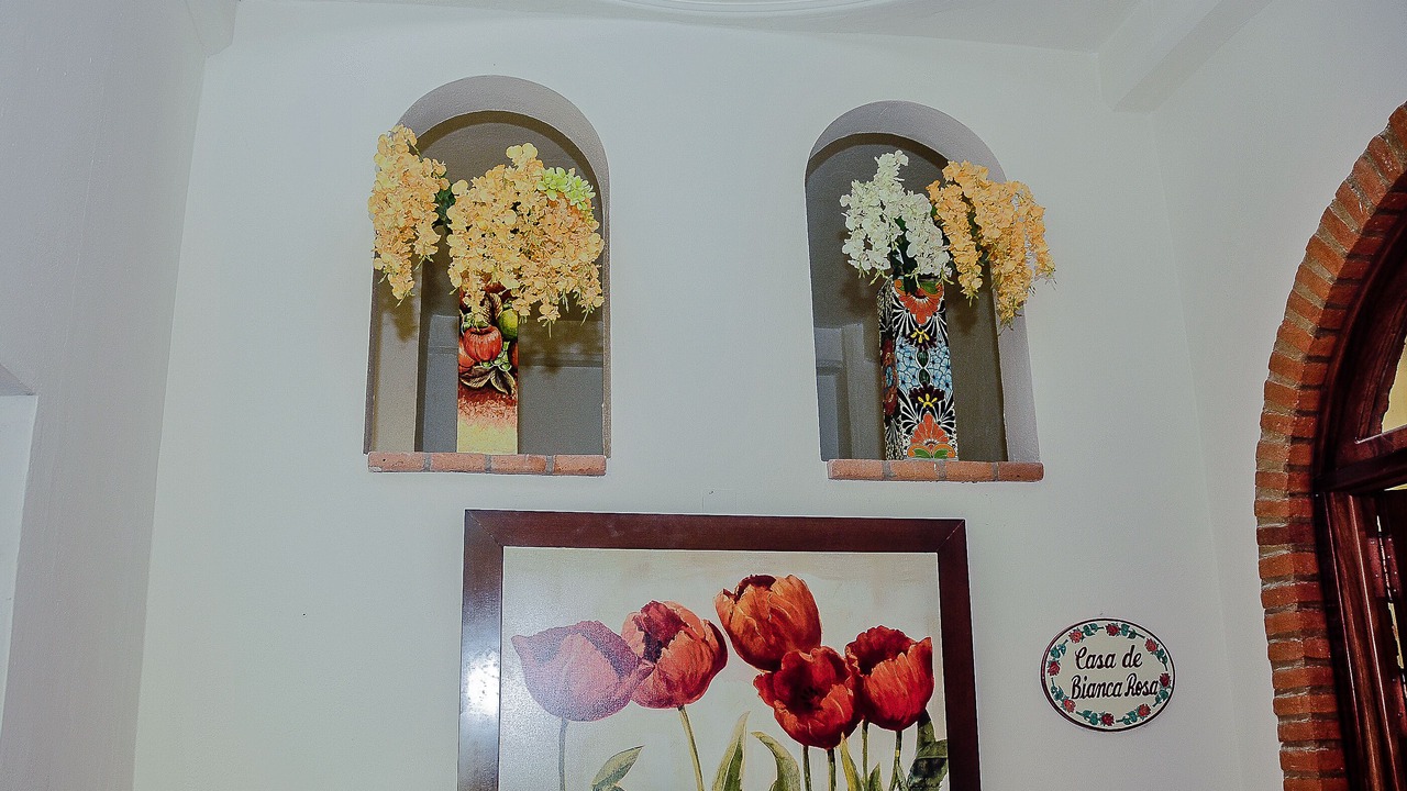 Photo of Others in Amapas