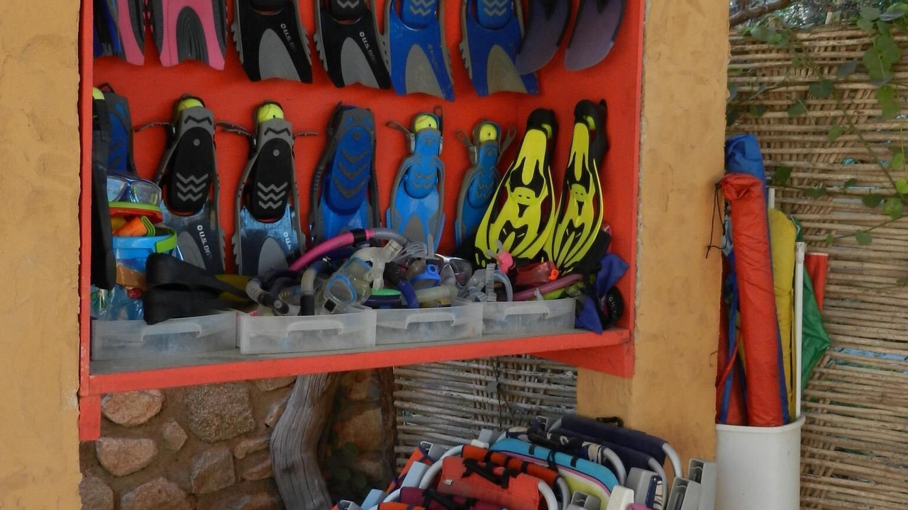 Photo of Others in Cabo Pulmo