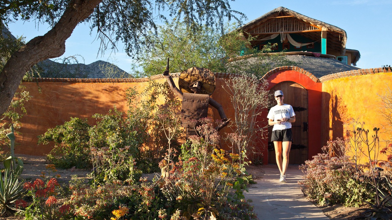 Photo of Others in Cabo Pulmo