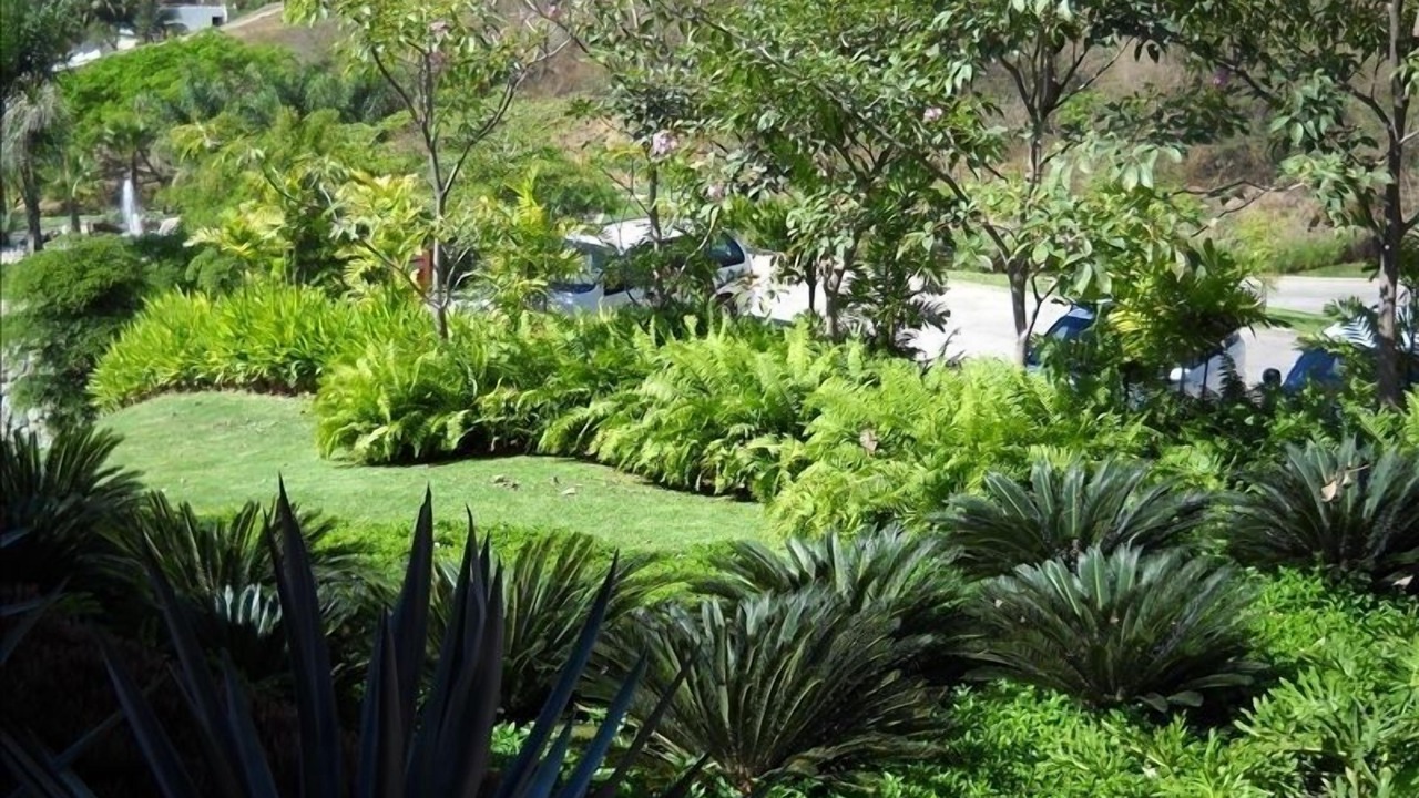 Photo of Others in La Cruz de Huanacaxtle