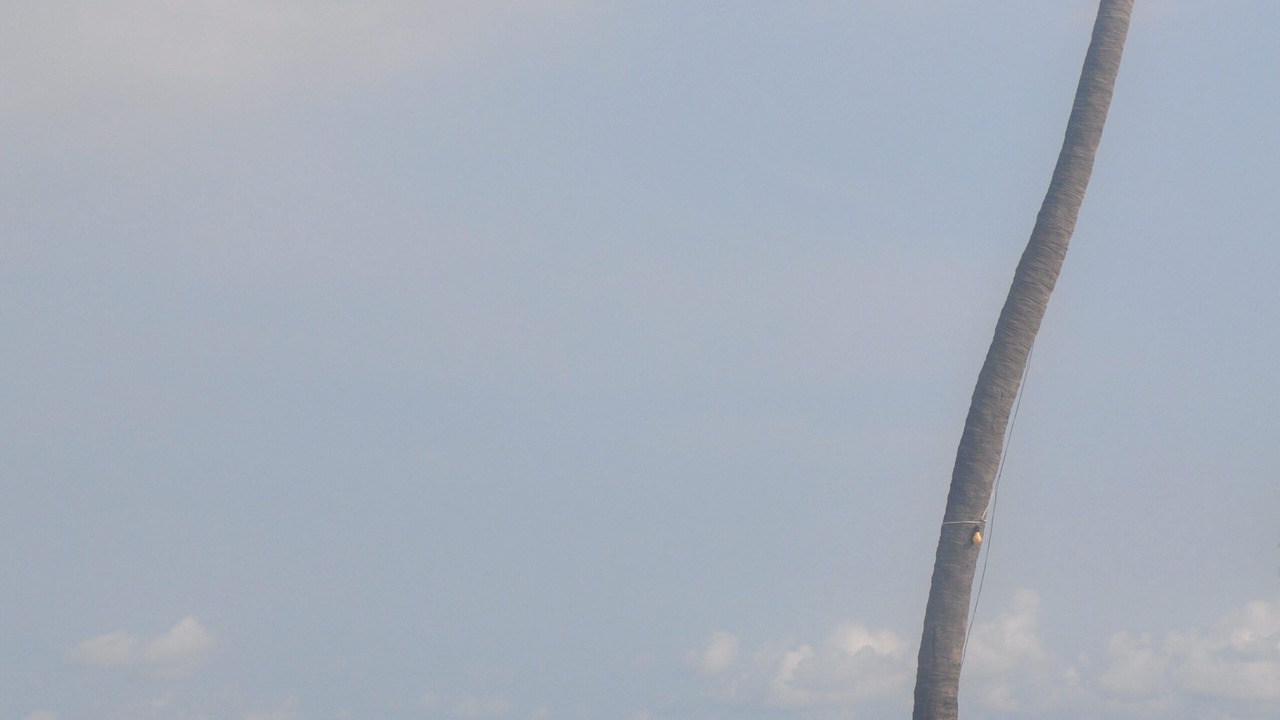 Photo of Outdoor in Manzanillo