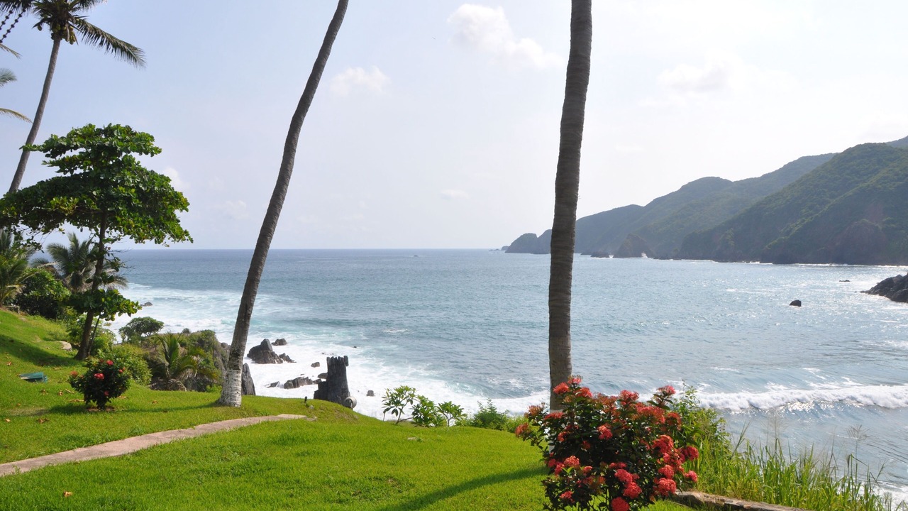 Photo of Others in Manzanillo