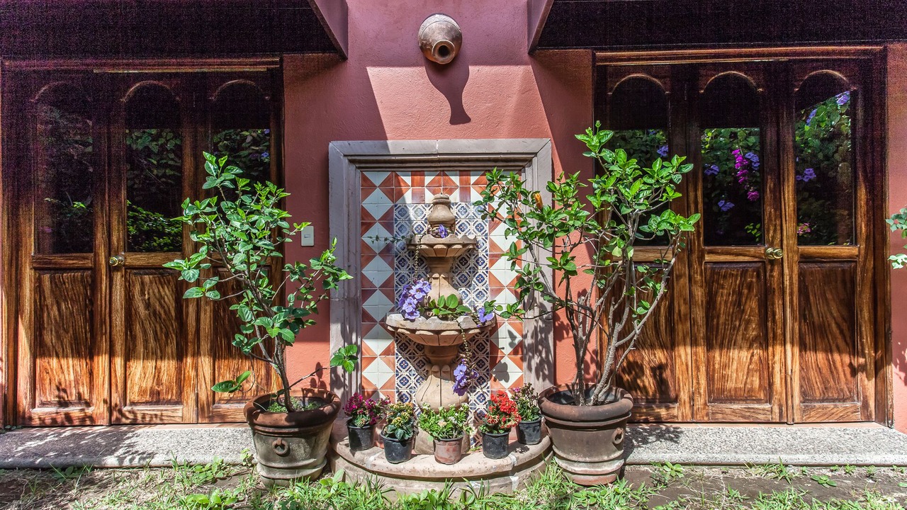 Photo of Outdoor in Downtown Puerto Vallarta
