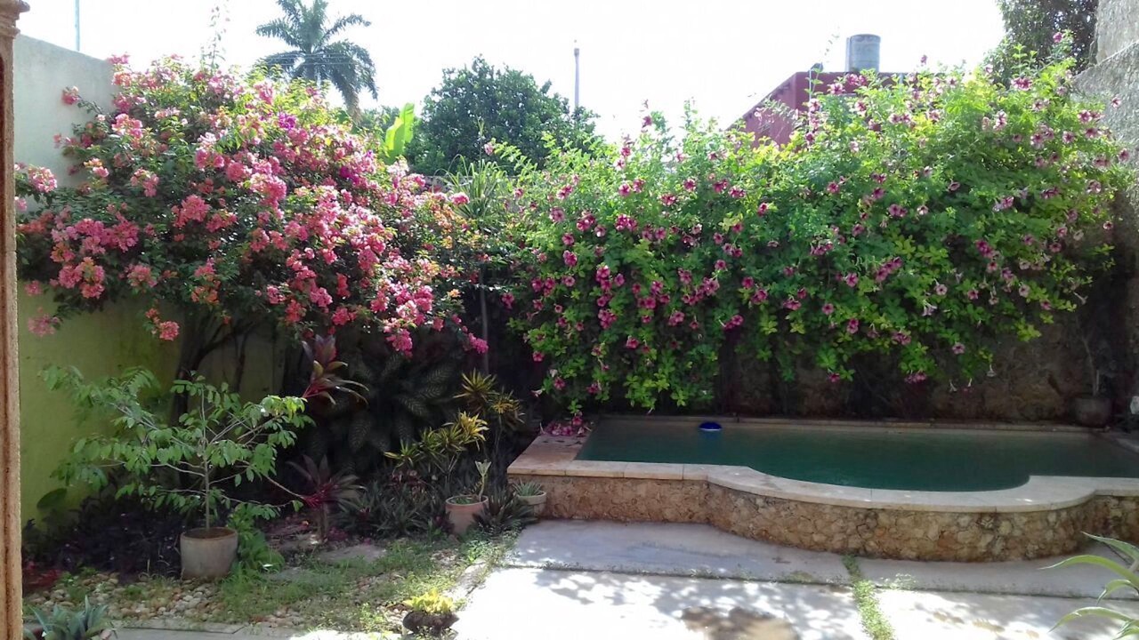 Photo of Outdoor in Centro