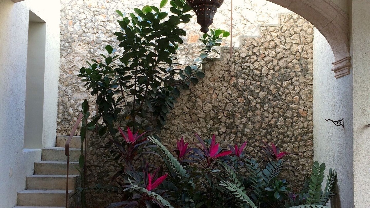 Photo of Outdoor in Centro