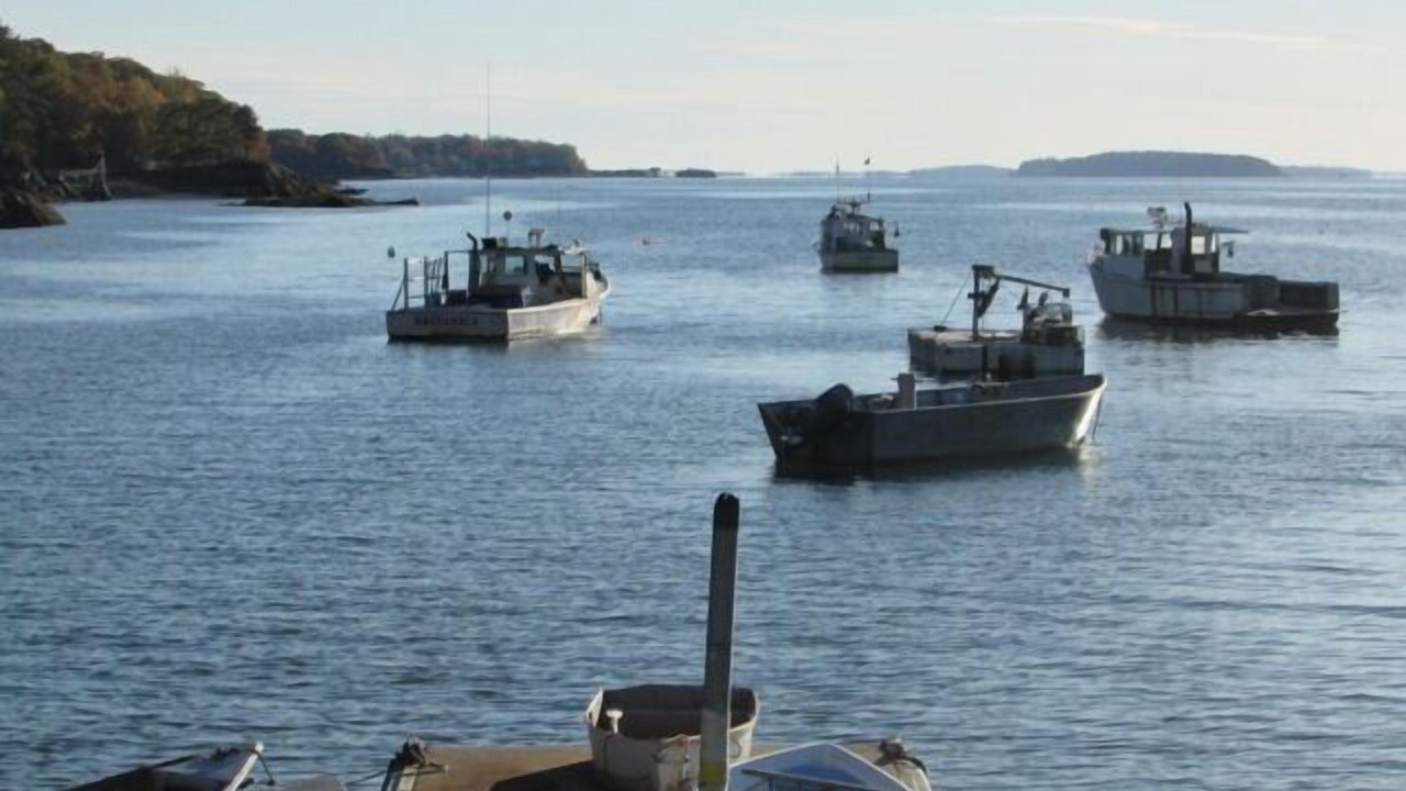 Photo of Others in Orrs Island